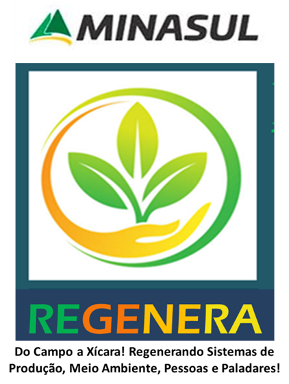 REGENERA - Minasul